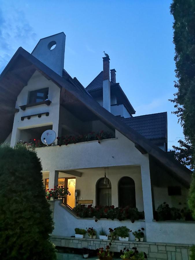 Bed and Breakfast Castelul De Smarald Pangaracior Екстер'єр фото