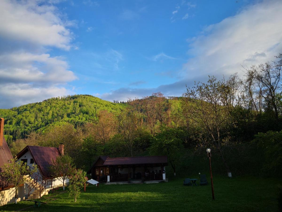 Bed and Breakfast Castelul De Smarald Pangaracior Екстер'єр фото