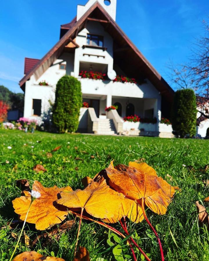 Bed and Breakfast Castelul De Smarald Pangaracior Екстер'єр фото