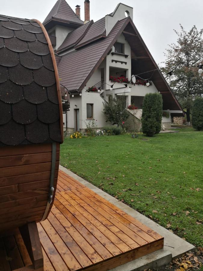 Bed and Breakfast Castelul De Smarald Pangaracior Екстер'єр фото