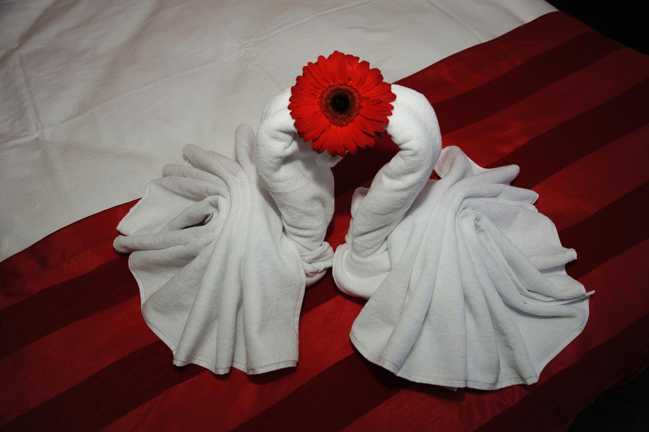 Bed and Breakfast Castelul De Smarald Pangaracior Екстер'єр фото