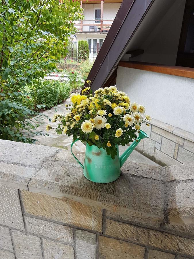Bed and Breakfast Castelul De Smarald Pangaracior Екстер'єр фото