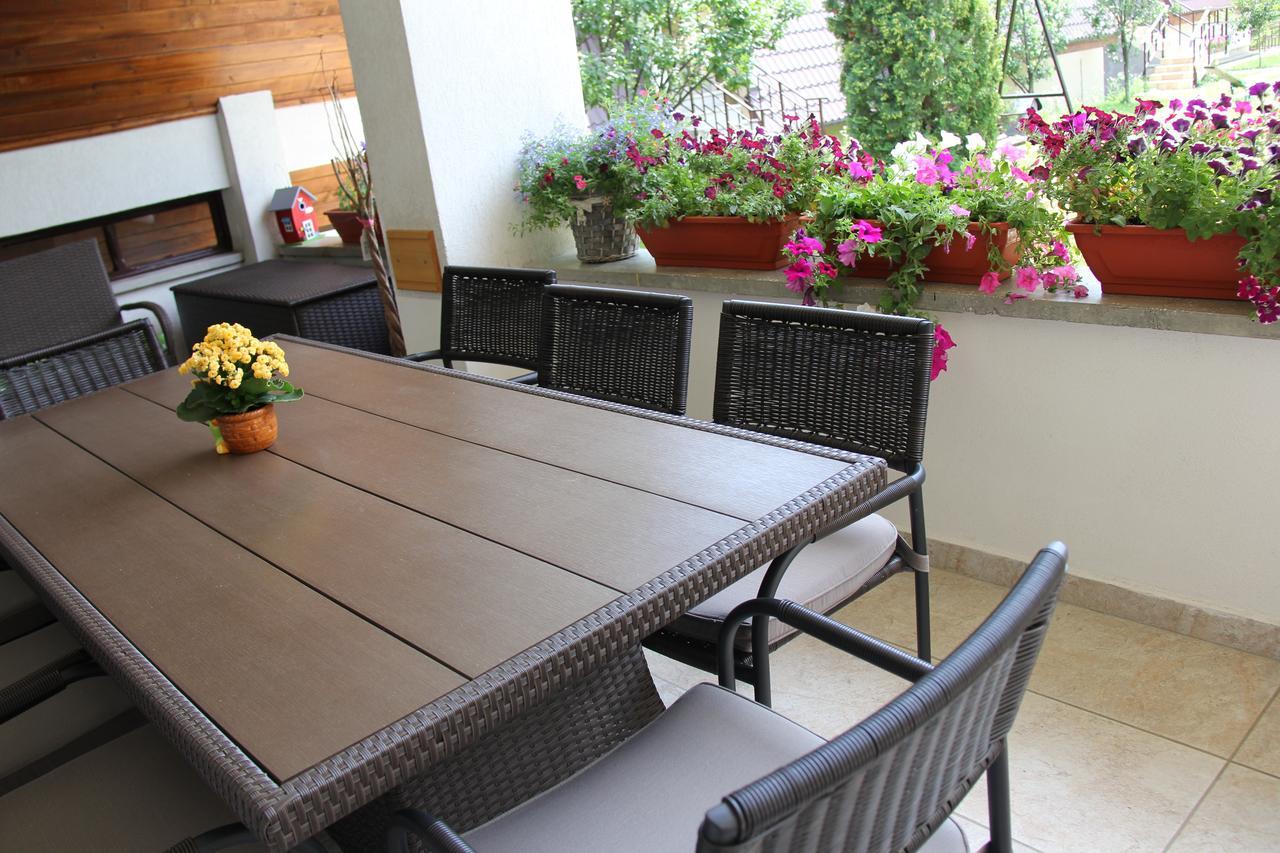Bed and Breakfast Castelul De Smarald Pangaracior Екстер'єр фото