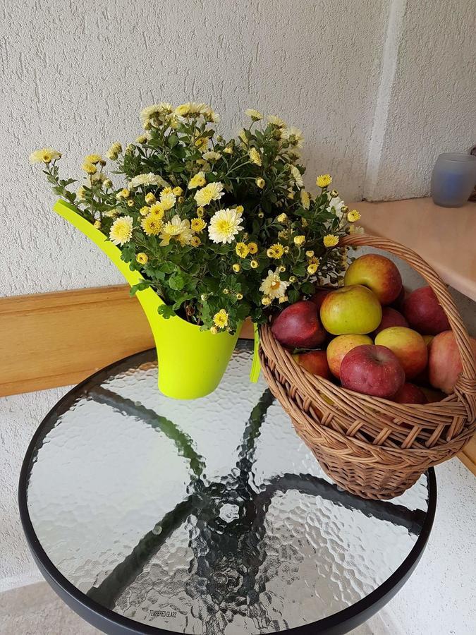 Bed and Breakfast Castelul De Smarald Pangaracior Екстер'єр фото