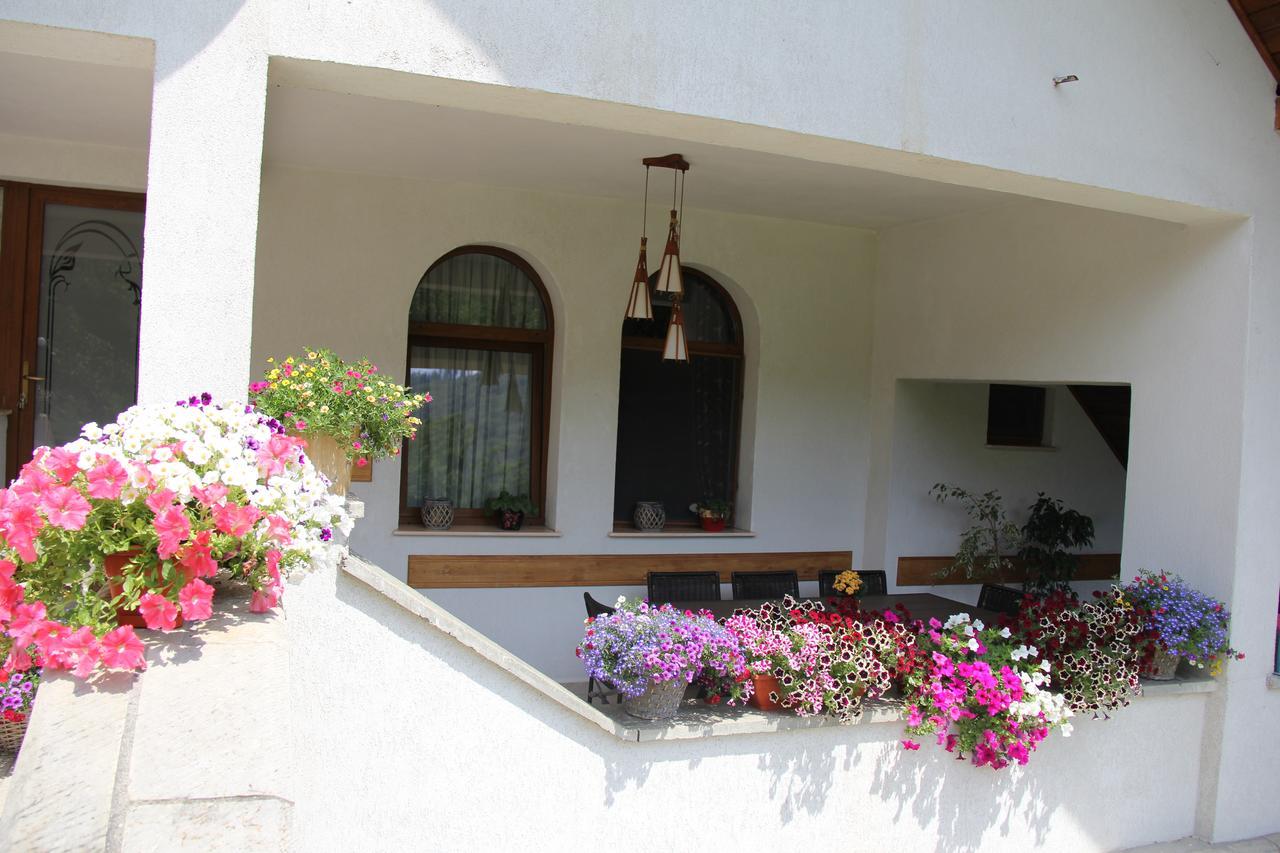 Bed and Breakfast Castelul De Smarald Pangaracior Екстер'єр фото