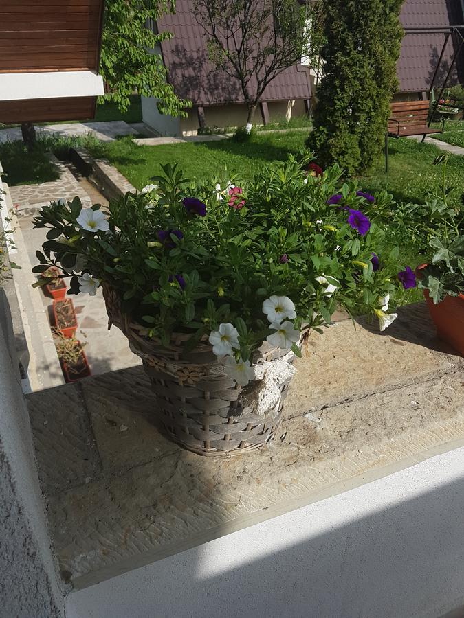 Bed and Breakfast Castelul De Smarald Pangaracior Екстер'єр фото